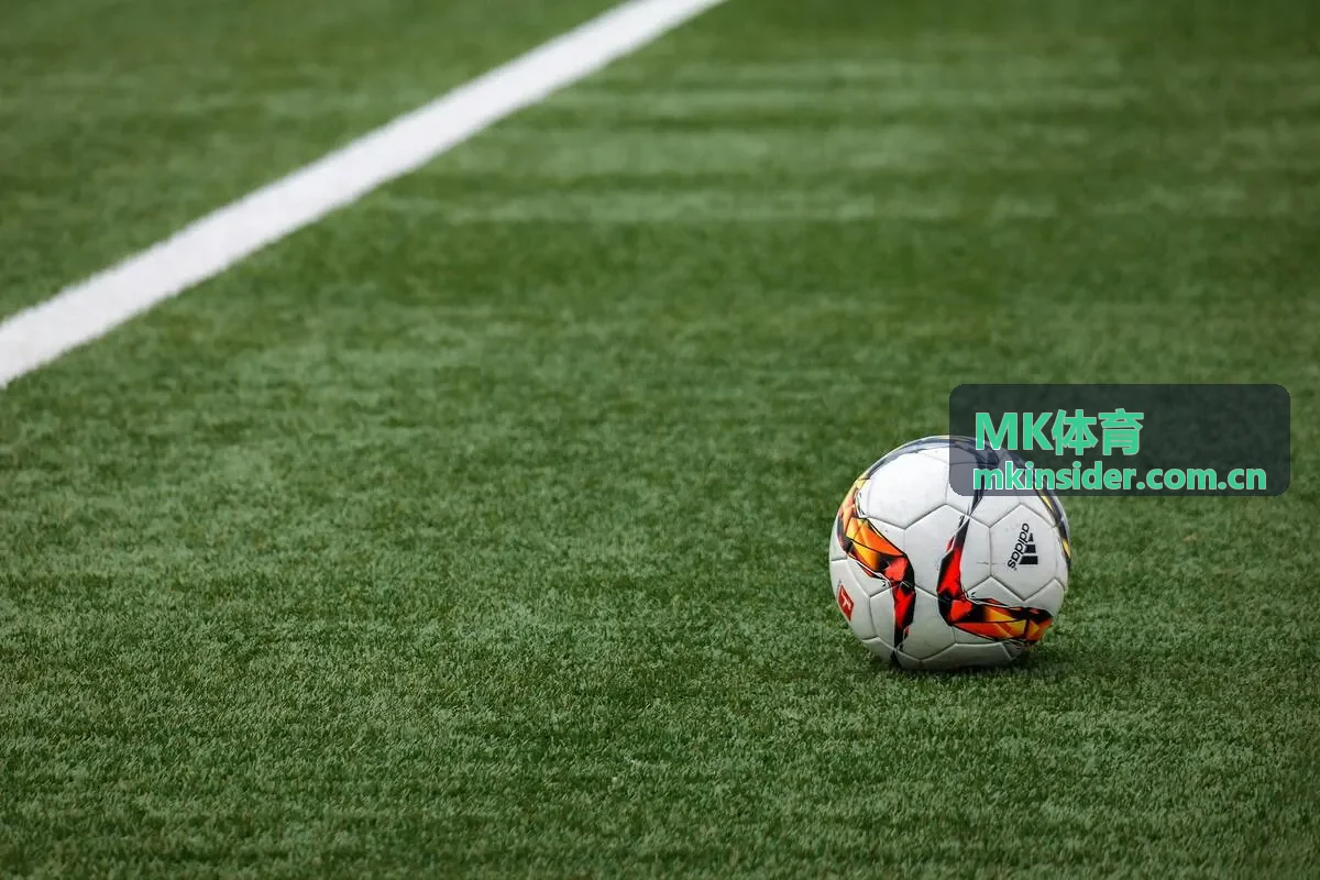 MK体育最新赛事资讯主图中的球场与观众